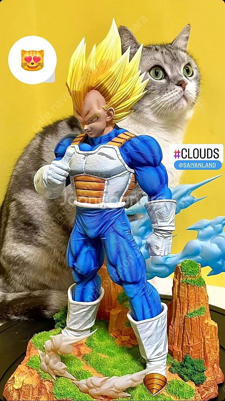 드래곤볼 레진 - Cloud studio 베지터 1/6...--4