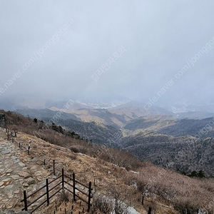 (삽니다) 시마노 스파자25 리미티드