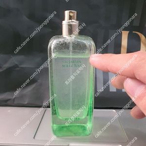 에르메스 운 자르뎅 수르뜨와 EDT 100ml 향수 (4)