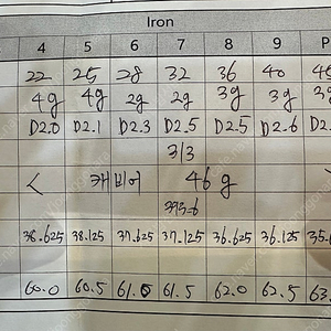 칼라미티제인 608 4-p 스틸파이버 h75s 7아이언