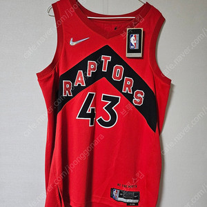 NBA 토론토 랩터스 자켓, 시아캄, 벤블릿 유니폼 판매합니다. (48 - L사이즈)