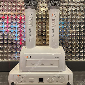 태진 무선마이크 DWS-5800