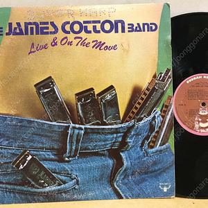 LP ; james cotton band - live and on the move 제임스 코튼 엘피 음반 블루스 명반 blues