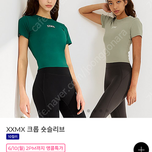 젝시믹스 크롭 숏슬리브 S 알파인그린