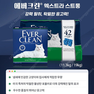 에버크린 고양이모래 esun 19kg 입니다.