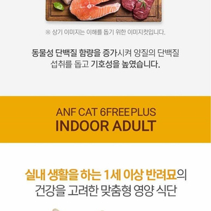 anf6free고양이 사료 3종