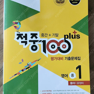 적중100플러스