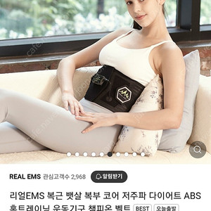 리얼 EMS 복부용 벨트(L) 뱃살 저주파 마사지(미사용)