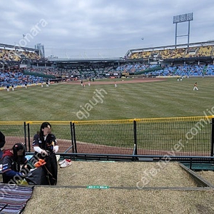 6/14.15.16(금.토.일) 한화 vs SSG 1루 외야 커플석(2인석)1루 잔디석 (4인자리) 양도 합니다.