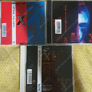 X-JAPAN 엑스재팬 정규 1,2,3집 처분