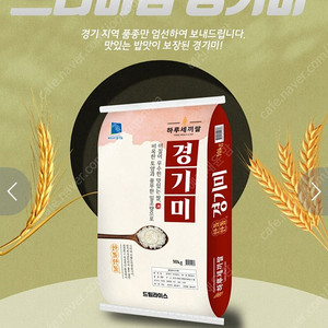 특등급 경기미 쌀 (10kg + 10kg) ~ 45,000원 (당일도정, 택배비 포함가격)