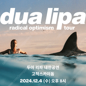 두아 리파 Dua lipa 콘서트 지정석 A 싸게 양도합니다. (2연석)