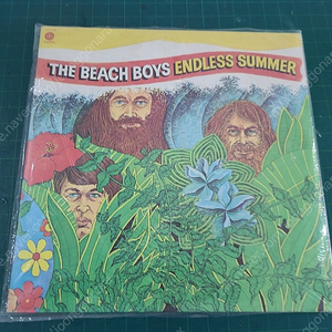 The Beach Boys ENDLESS SUMMER