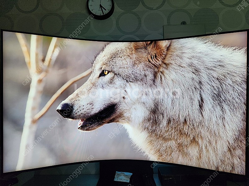 삼성전자 오디세이 아크 G97NB S55BG970--5
