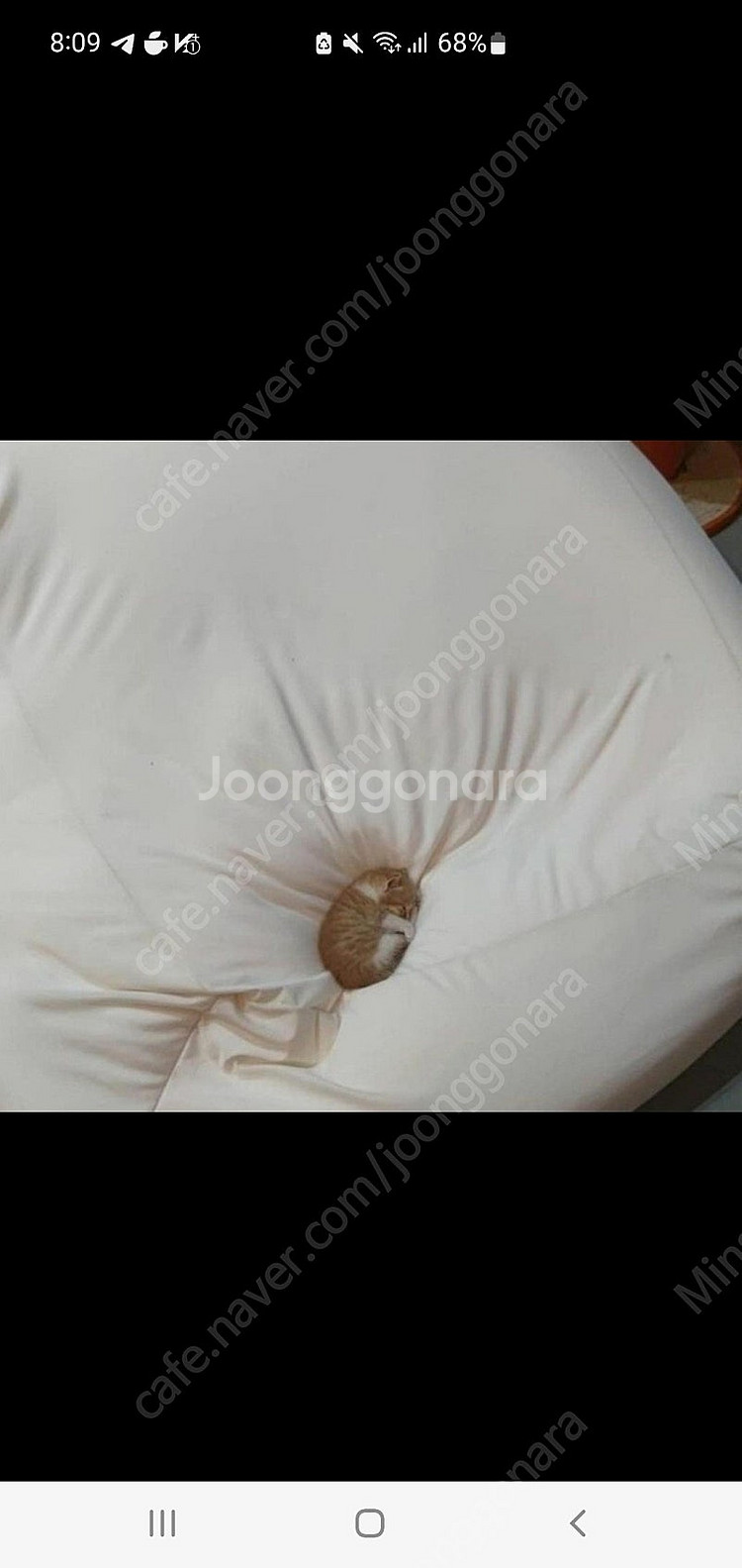 넥슨 계정 하나 팝니다 인증캐어 확실히 해드립니다--0