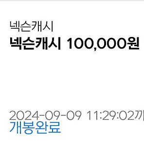 넥슨쿠폰 100.000