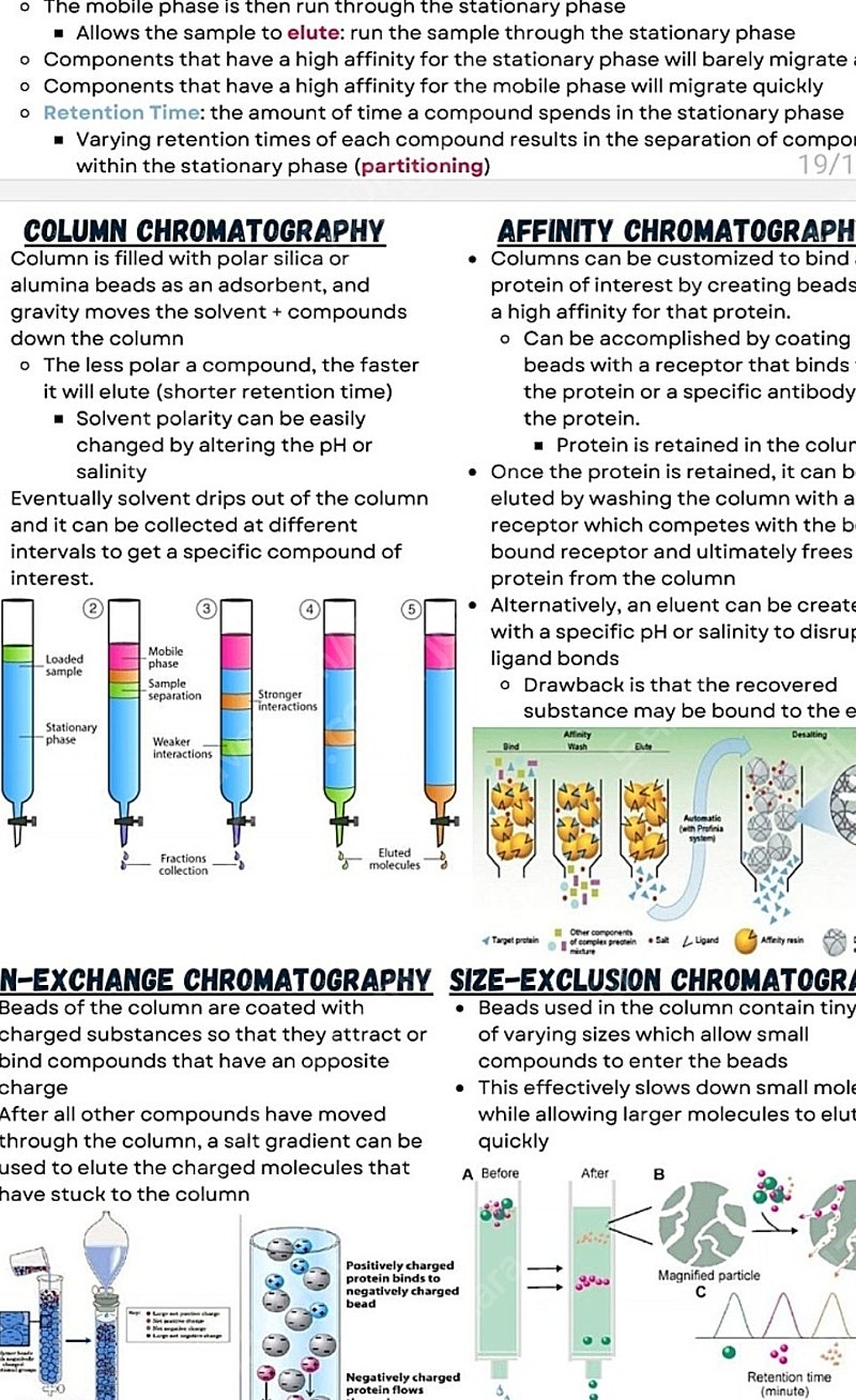 general chemistry 일반 화학 요약 노트 팝니다