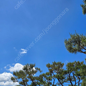 한국 중국 축구 티켓 삽니다