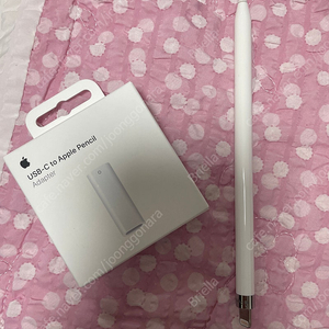 USB-C to Apple Pencil 어댑터 팝니다