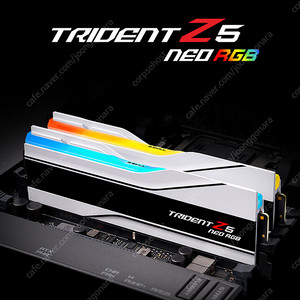 [삽니다] G.SKILL DDR5-6000 CL30 TRIDENT Z5 NEO RGB J 화이트 패키지 (64GB(32Gx2)) 미개봉 삽니다.