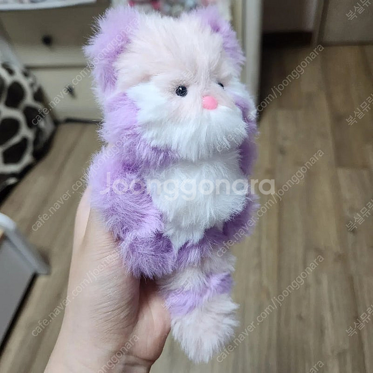 모루인형 포도체리 모티브 너구리 판매합니다--1