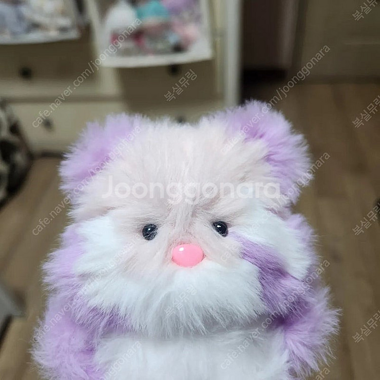 모루인형 포도체리 모티브 너구리 판매합니다--2