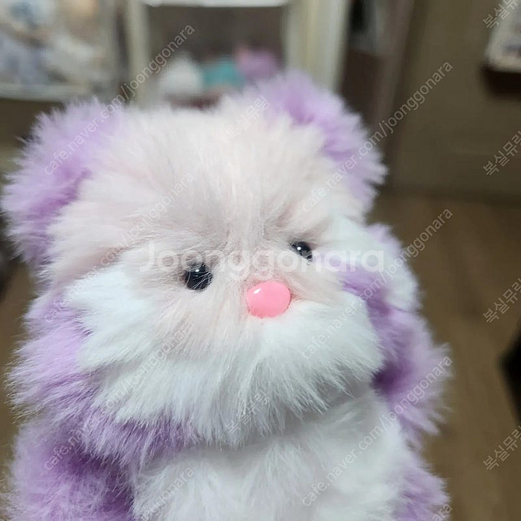 모루인형 포도체리 모티브 너구리 판매합니다--3