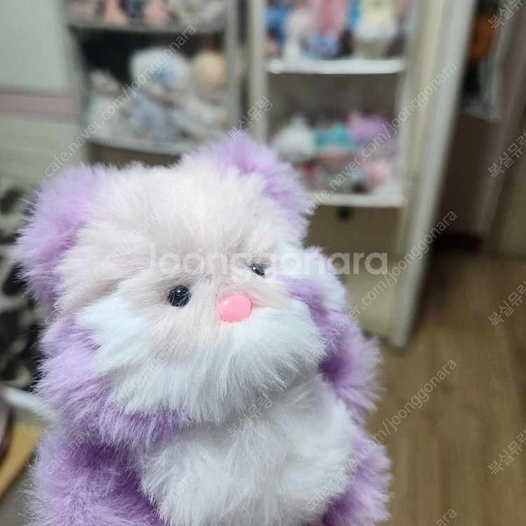모루인형 포도체리 모티브 너구리 판매합니다--4