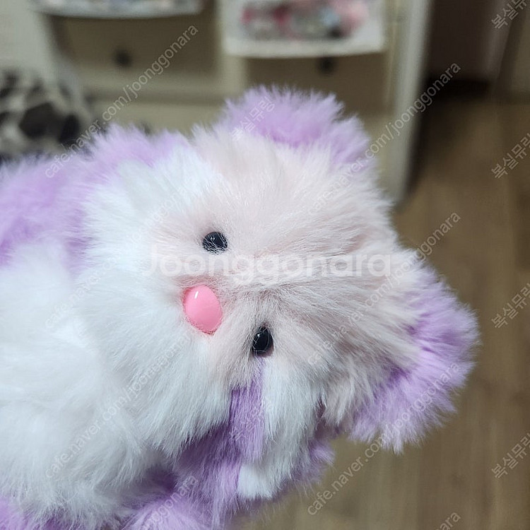 모루인형 포도체리 모티브 너구리 판매합니다--5