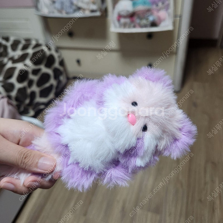 모루인형 포도체리 모티브 너구리 판매합니다--6