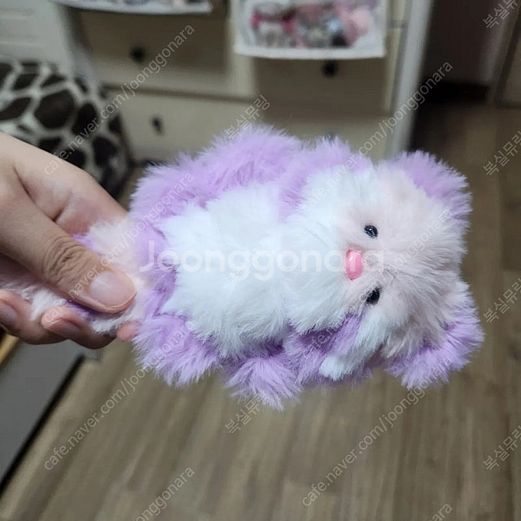 모루인형 포도체리 모티브 너구리 판매합니다--7