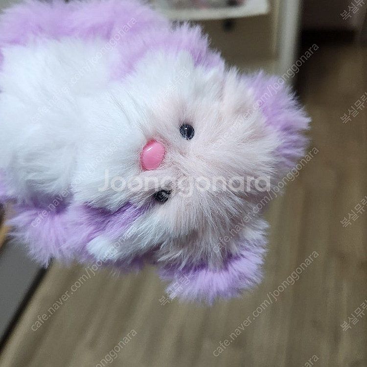 모루인형 포도체리 모티브 너구리 판매합니다--8