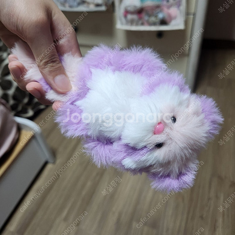 모루인형 포도체리 모티브 너구리 판매합니다--9