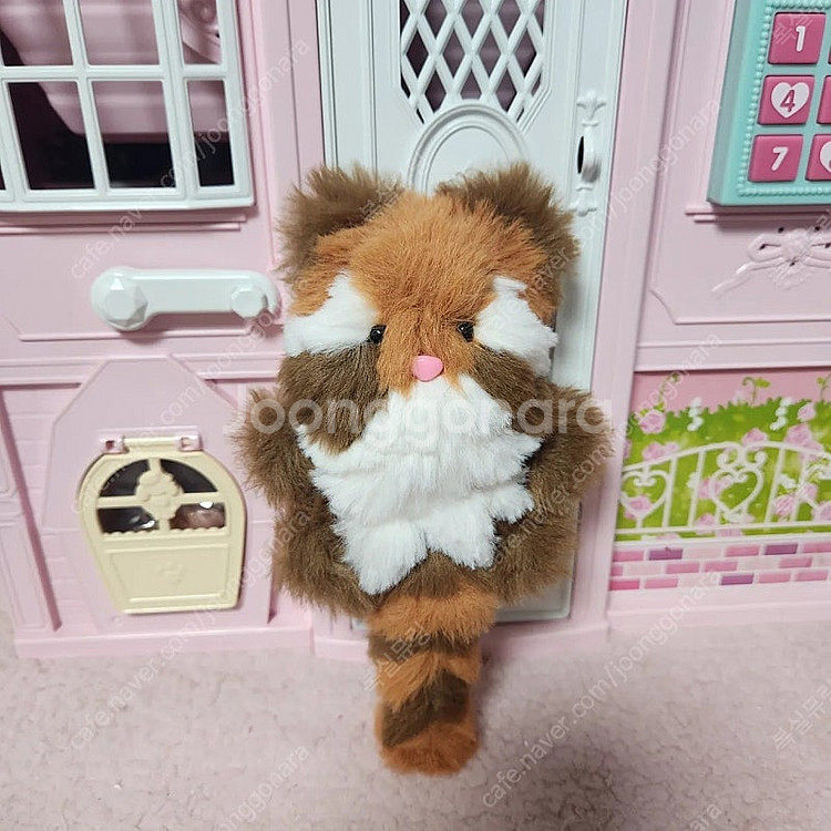 모루인형 랫서판다 너구리 판매합니다--0