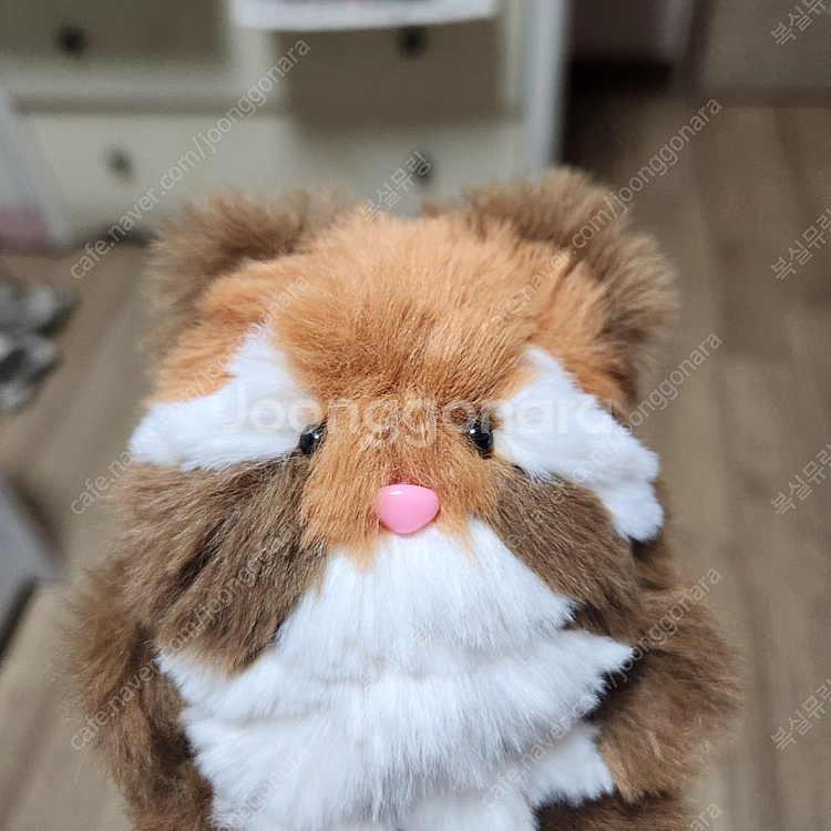 모루인형 랫서판다 너구리 판매합니다--2
