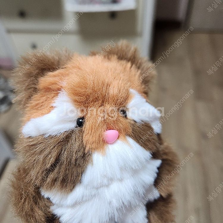 모루인형 랫서판다 너구리 판매합니다--3