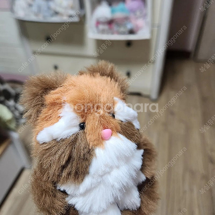 모루인형 랫서판다 너구리 판매합니다--4