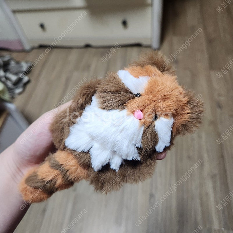 모루인형 랫서판다 너구리 판매합니다--6