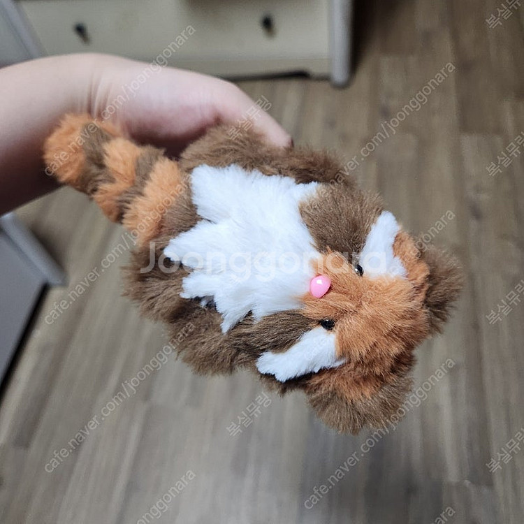 모루인형 랫서판다 너구리 판매합니다--9