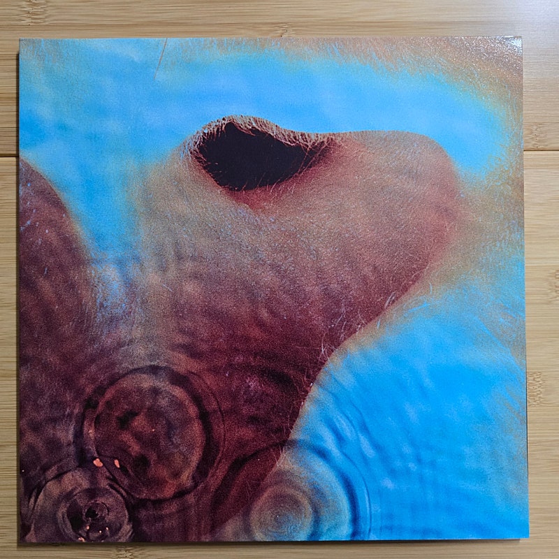 LP 레코드 Pink Floyd 핑크 플로이드 - Meddle