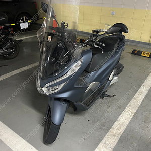 부산 2020 pcx125 매트블루