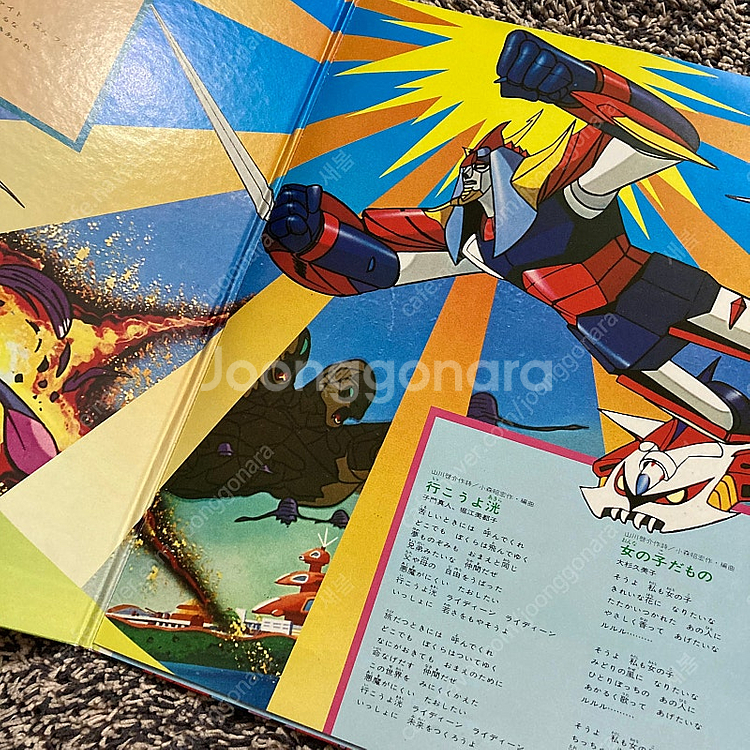 일본 고전 lp 용자 라이딘 바이닐--1