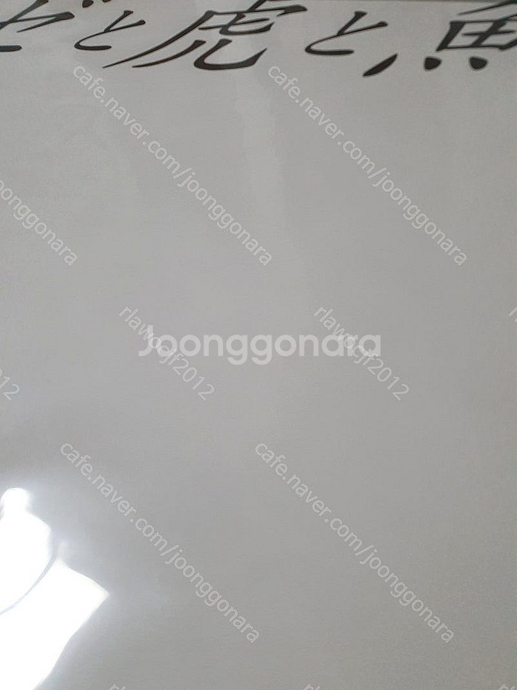 미품 포스터 조제 호랑이 그리고 물고기들 일본 원년 오...--3