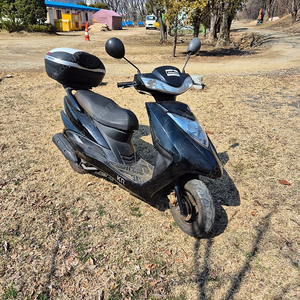 100cc 스쿠터