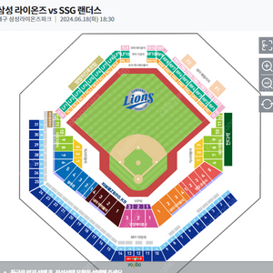 6월 18일, 19일 삼성라이온즈 VS SSG 랜더스 블루존 티켓 2연석 양도