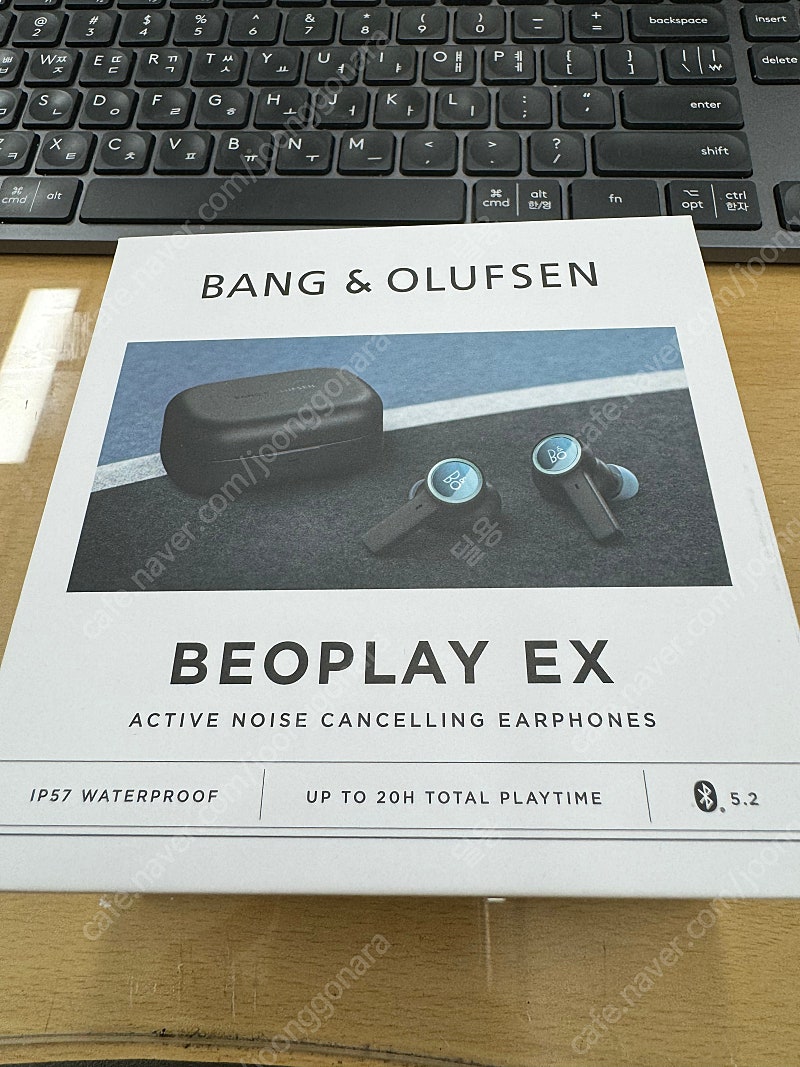 B&O EX 베오플레이