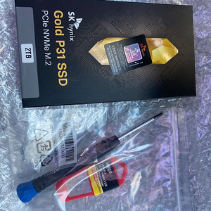 Sk하이닉스 gold p31 ssd 2TB