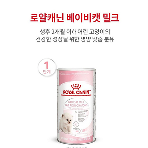 로얄캐닌 베이비캣 밀크 300g