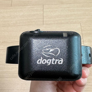 독트라 짖음방지기 dogtra ys300