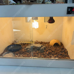 2자 사육장